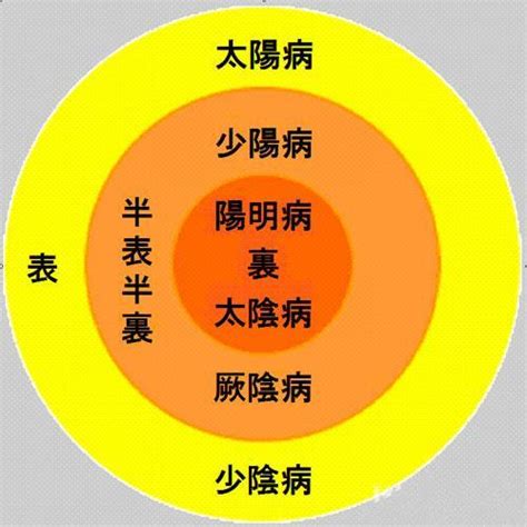 三陰三陽 日本|傷寒論の病位に就て